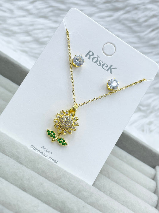 Conjunto Rosek