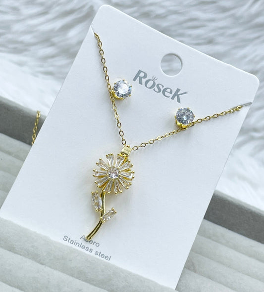 Conjunto Rosek